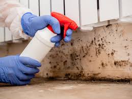  Cheney, WA Mold Remediation Pros